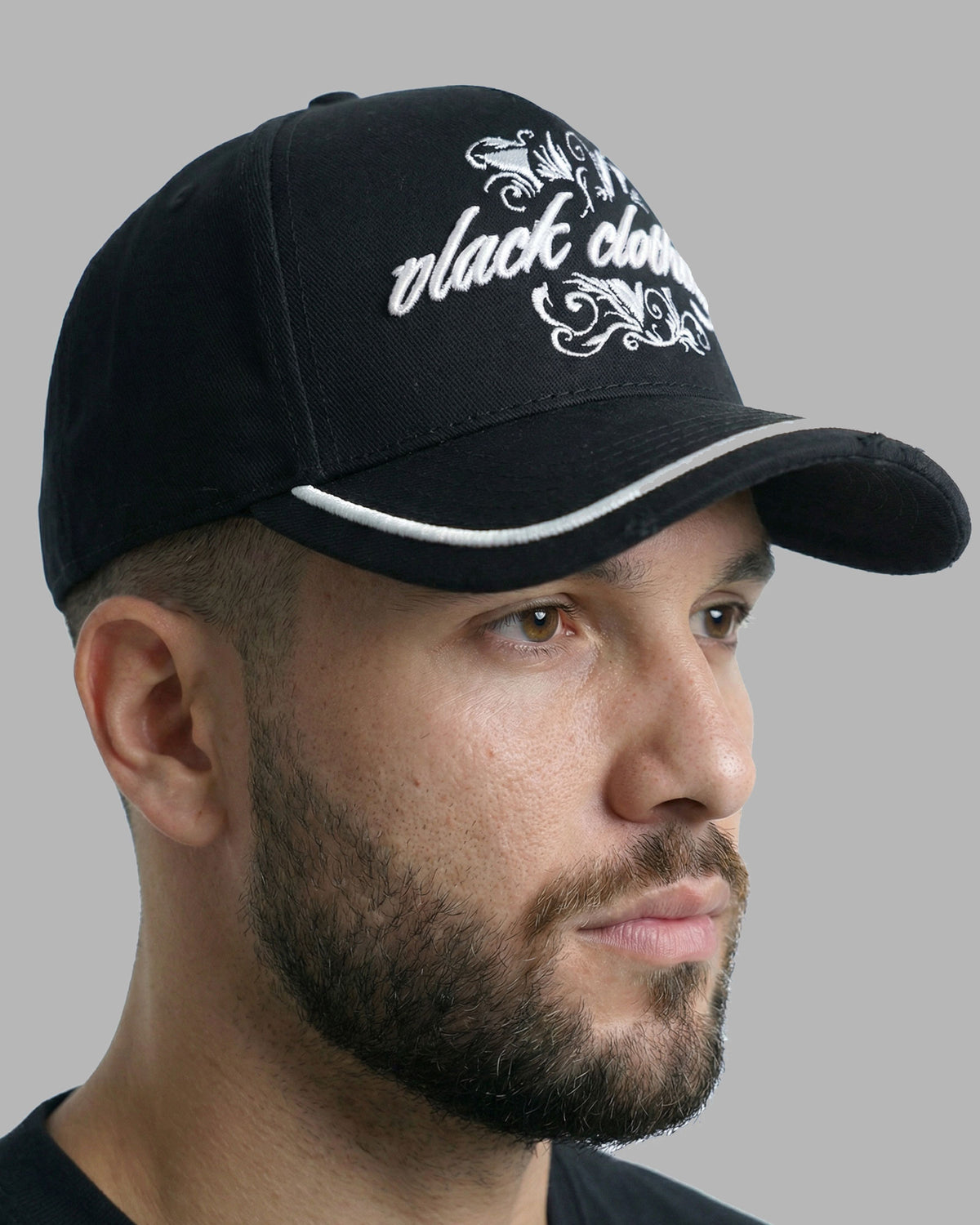DINASTIA | CAP